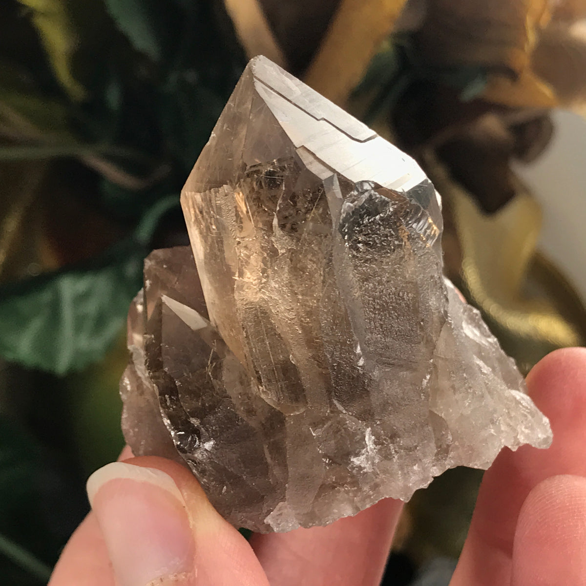 Smokey Quartz – Enchanted Earth Minerals