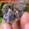Azurite - Azurite Mineral Specimens from Morocco! (C615, C616, C617, C618)