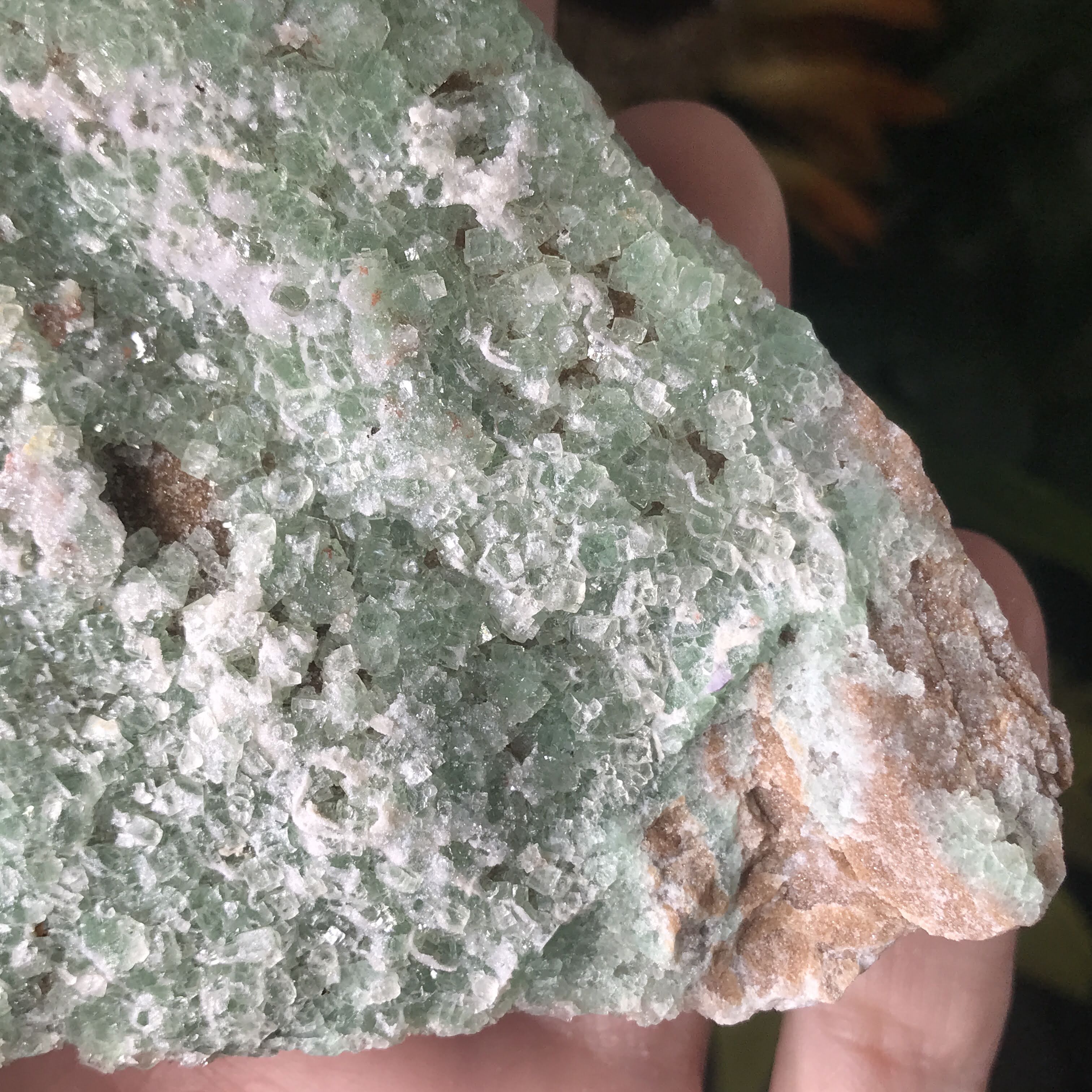 Fluorite & druzy quartz Mineral Specimen!  (Unaweep Colorado, American minerals!)
