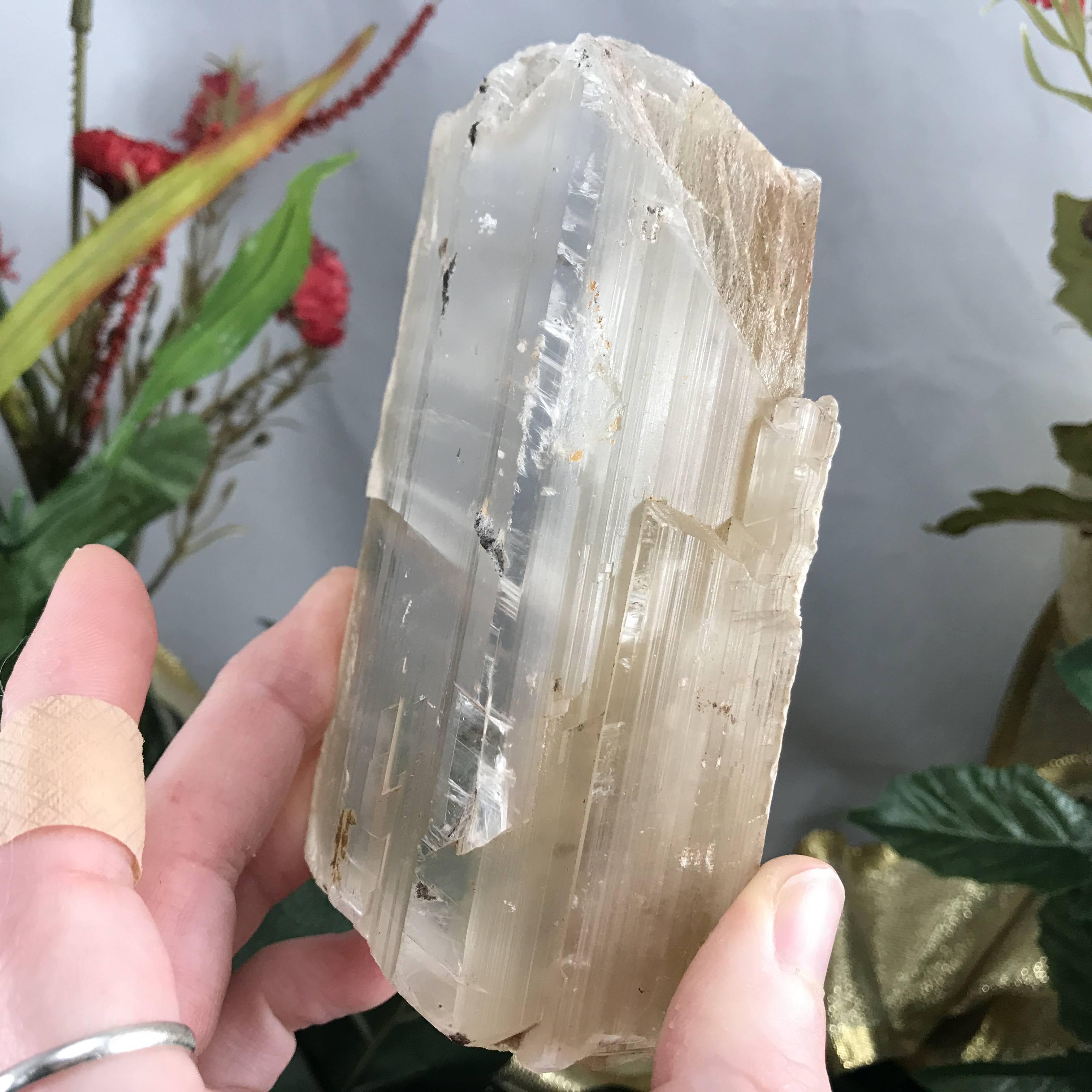 Selenite-BIG OLE GORGEOUS Included Selenite Wand Mineral Specimen! (A338)