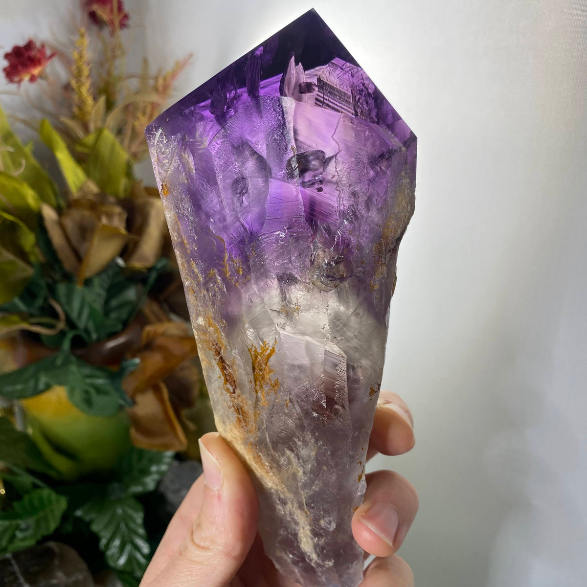 Bahia Amethyst Elestial Root – AURA salt cave and wellness