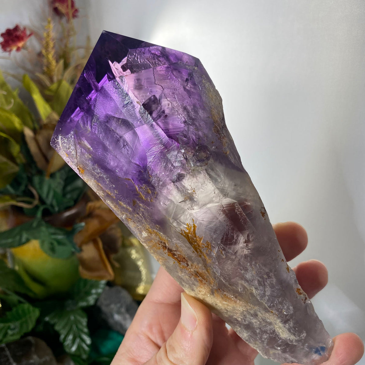 Bahia Amethyst Elestial Root – AURA salt cave and wellness