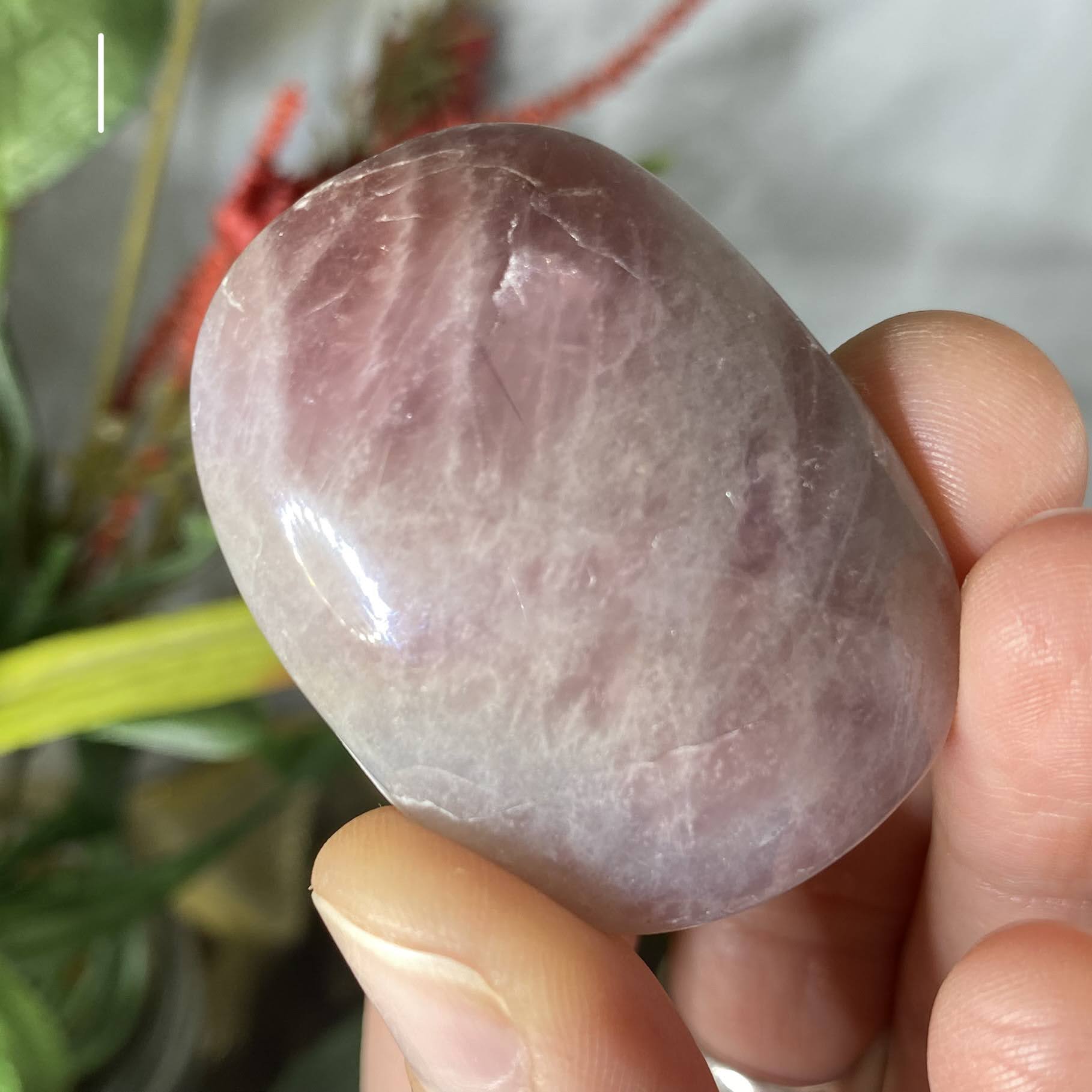 Lavender Rose Quartz - Small Palm Stones! (C110/C111/C112/C113/C114/C115)