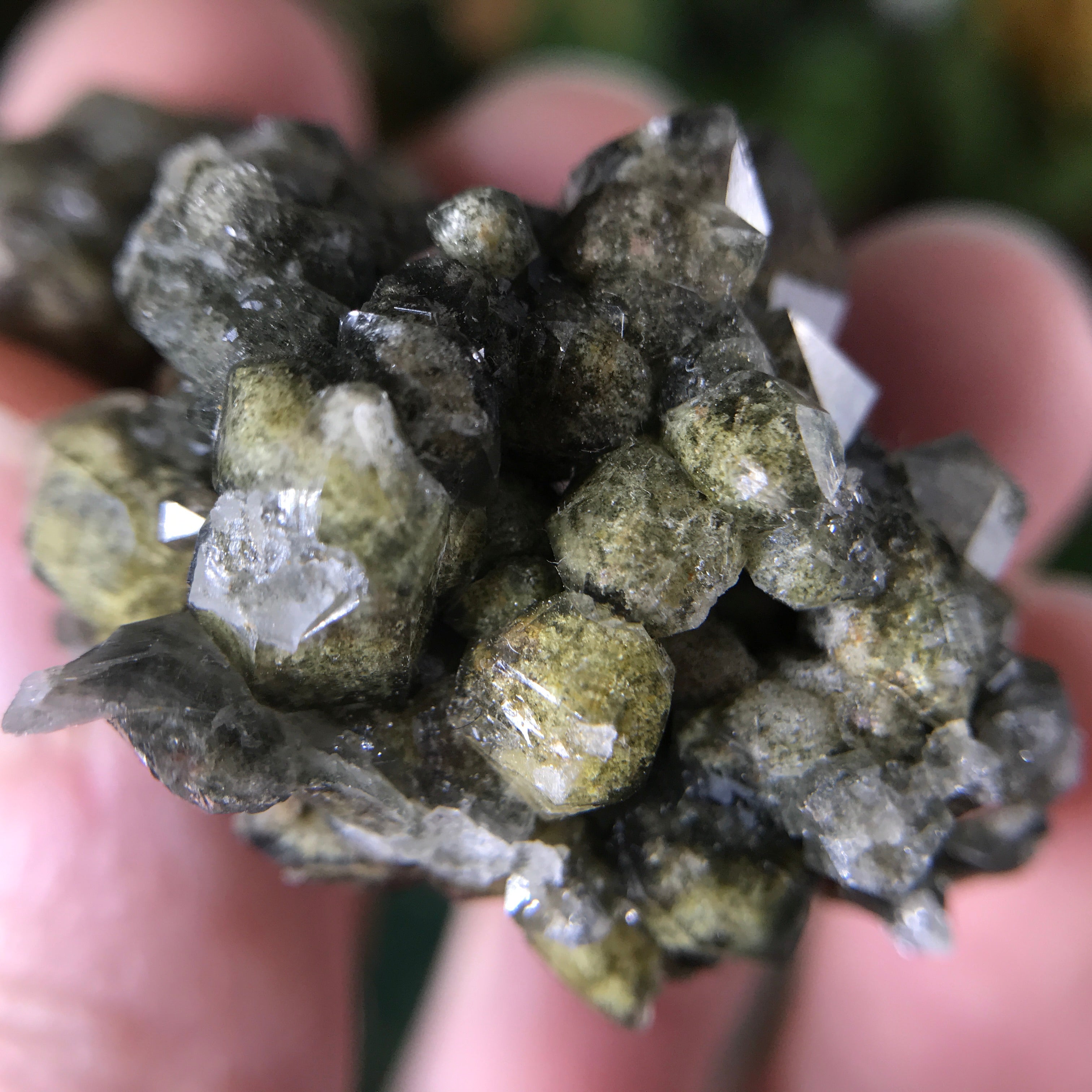 Lodolite/Scenic Quartz