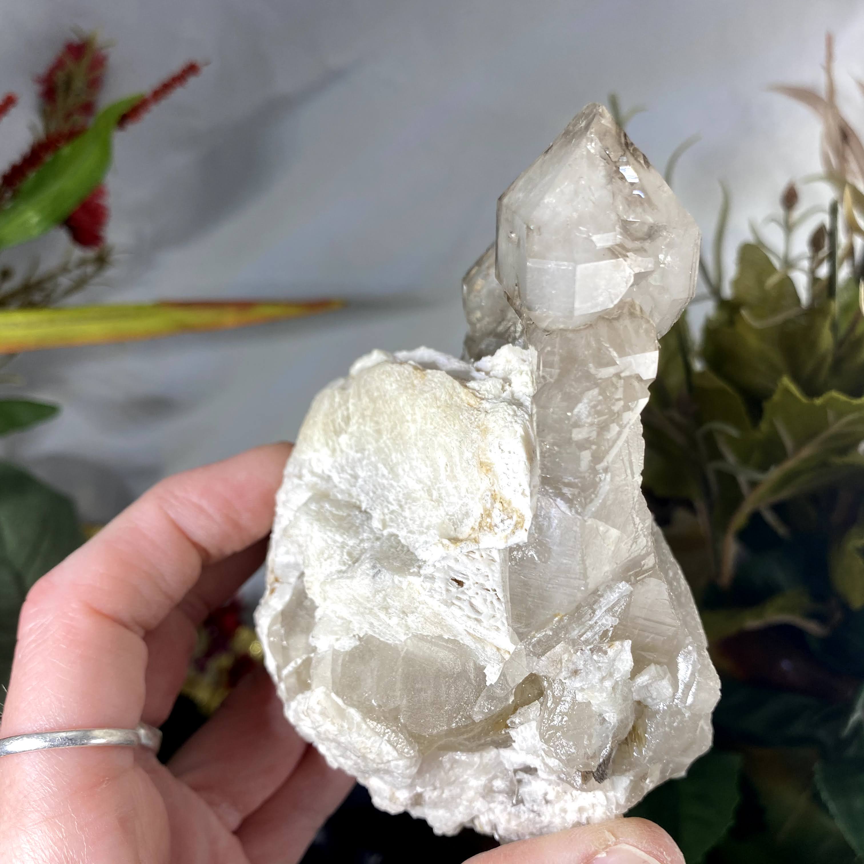 Smoky Quartz - Light Smoky Elestial Quartz! Etching, Rainbow, and a touch of Citrine?! (#444)