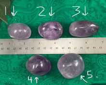 Load image into Gallery viewer, Amethyst! High Quality Amethyst Palm Stones! #151-155