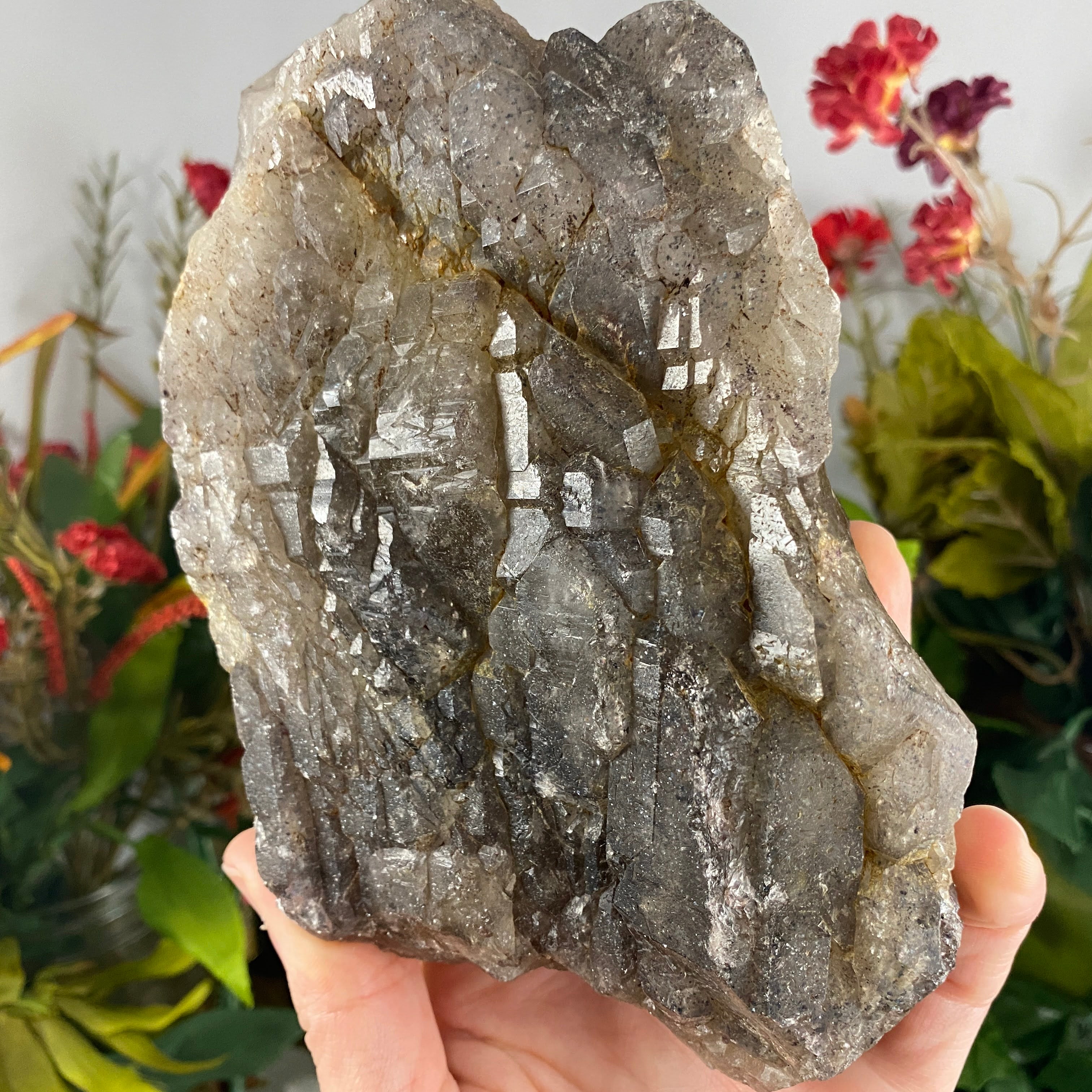 STELLAR "Sacred 7" Included Smoky Amethyst Elestial Quartz! C483