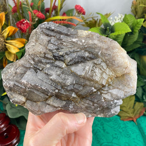 STELLAR "Sacred 7" Included Smoky Amethyst Elestial Quartz! C483