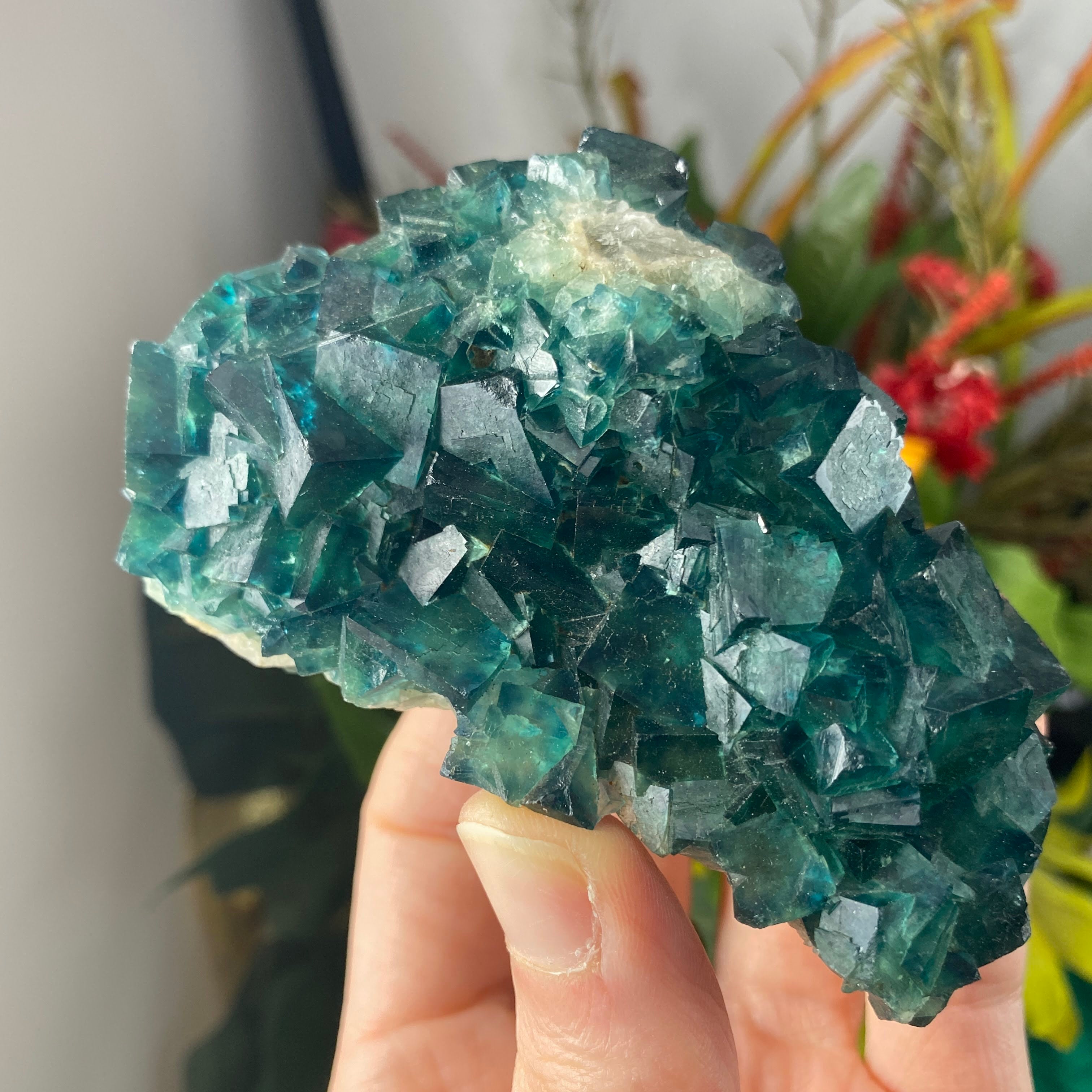 Fluorite - Gorgeous Green Fluorite! C237 (UV Reacts!)