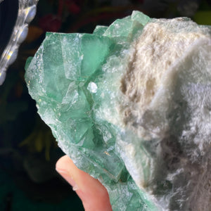 Fluorite - Gorgeous Green Fluorite with Big Cubes! C239 (UV Reacts!)