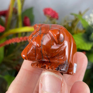 Crystal Bear Carvings! Obsidian, Red Jasper, or Tiger Eye Bear Carving! (price for one) C364/C363/C362