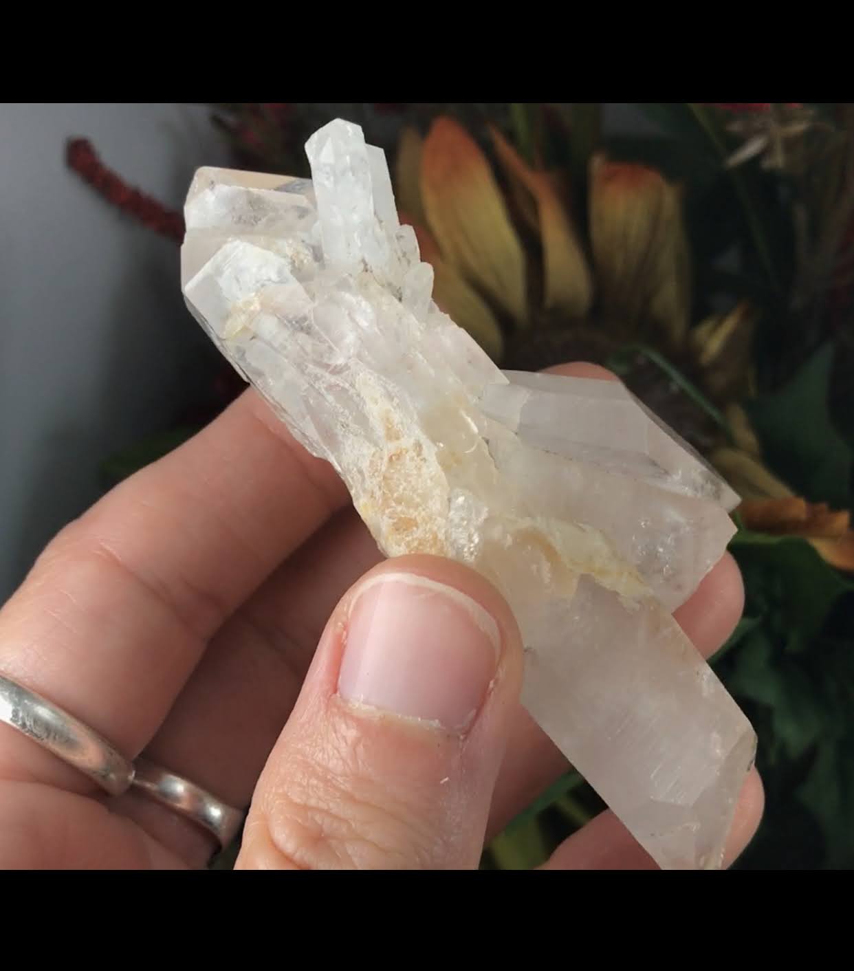 Colombian Quartz! A Work of ART Colombian Quartz! #189