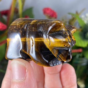 Crystal Bear Carvings! Obsidian, Red Jasper, or Tiger Eye Bear Carving! (price for one) C364/C363/C362