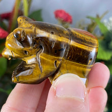 Load image into Gallery viewer, Crystal Bear Carvings! Obsidian, Red Jasper, or Tiger Eye Bear Carving! (price for one) C364/C363/C362