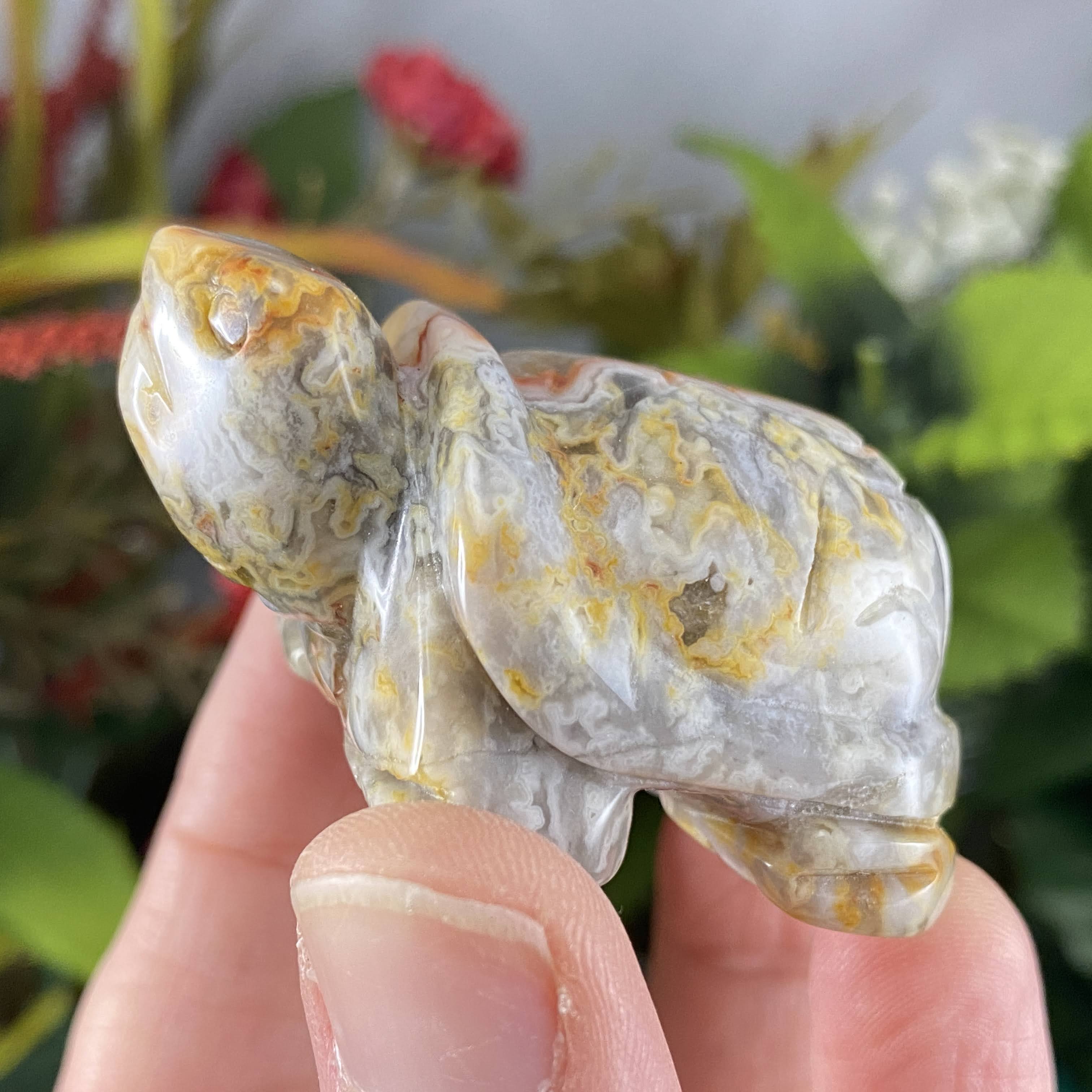 Crystal Turtle Carvings! Crazy Lace Agate, Larvikite, or Tiger Eye Turtle Carving! (price for one) C359/C360/C361