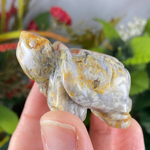 Crystal Turtle Carvings! Crazy Lace Agate, Larvikite, or Tiger Eye Turtle Carving! (price for one) C359/C360/C361
