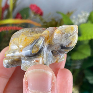 Crystal Turtle Carvings! Crazy Lace Agate, Larvikite, or Tiger Eye Turtle Carving! (price for one) C359/C360/C361