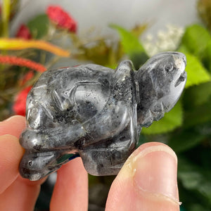 Crystal Turtle Carvings! Crazy Lace Agate, Larvikite, or Tiger Eye Turtle Carving! (price for one) C359/C360/C361