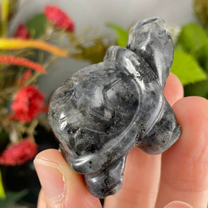 Crystal Turtle Carvings! Crazy Lace Agate, Larvikite, or Tiger Eye Turtle Carving! (price for one) C359/C360/C361