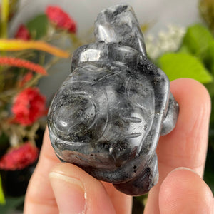Crystal Turtle Carvings! Crazy Lace Agate, Larvikite, or Tiger Eye Turtle Carving! (price for one) C359/C360/C361