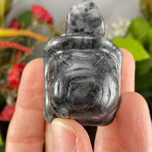 Crystal Turtle Carvings! Crazy Lace Agate, Larvikite, or Tiger Eye Turtle Carving! (price for one) C359/C360/C361