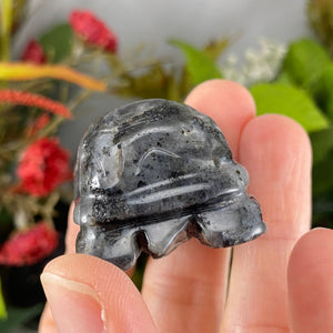 Crystal Turtle Carvings! Crazy Lace Agate, Larvikite, or Tiger Eye Turtle Carving! (price for one) C359/C360/C361