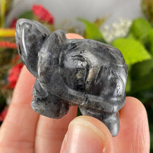 Load image into Gallery viewer, Crystal Turtle Carvings! Crazy Lace Agate, Larvikite, or Tiger Eye Turtle Carving! (price for one) C359/C360/C361