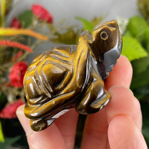 Crystal Turtle Carvings! Crazy Lace Agate, Larvikite, or Tiger Eye Turtle Carving! (price for one) C359/C360/C361