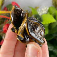 Load image into Gallery viewer, Crystal Turtle Carvings! Crazy Lace Agate, Larvikite, or Tiger Eye Turtle Carving! (price for one) C359/C360/C361