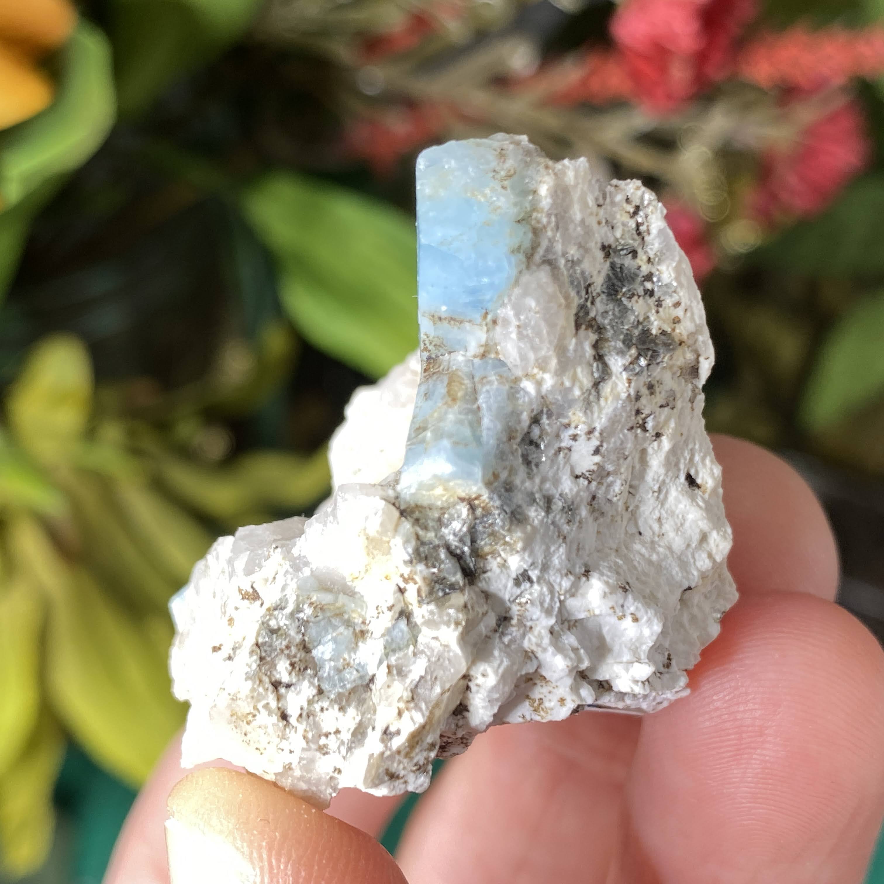 Enchanted Earth Minerals