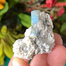 Load image into Gallery viewer, Aquamarine - Aquamarine in Matrix Specimens! (C531/ C532/ C534/ C535)