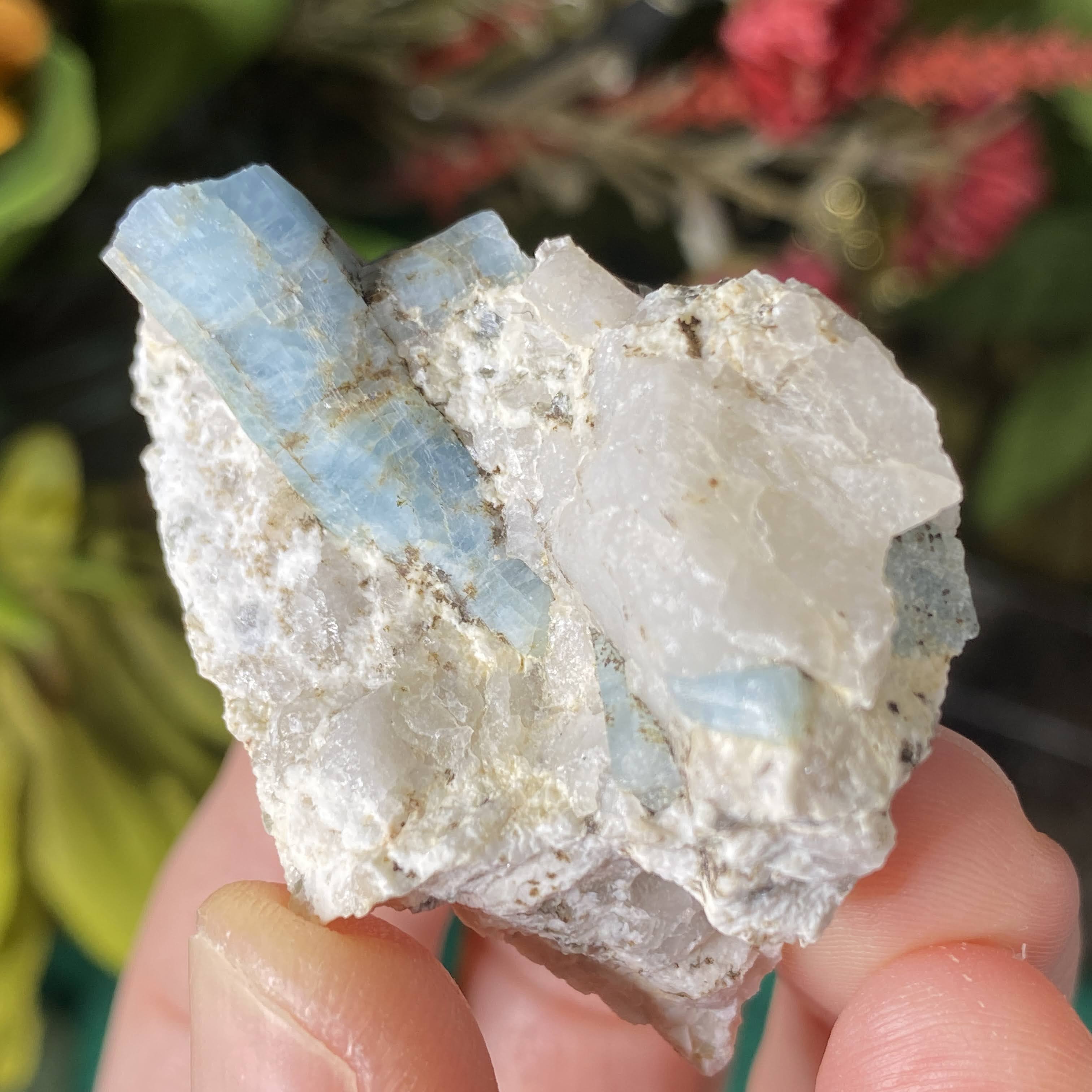 Enchanted Earth Minerals