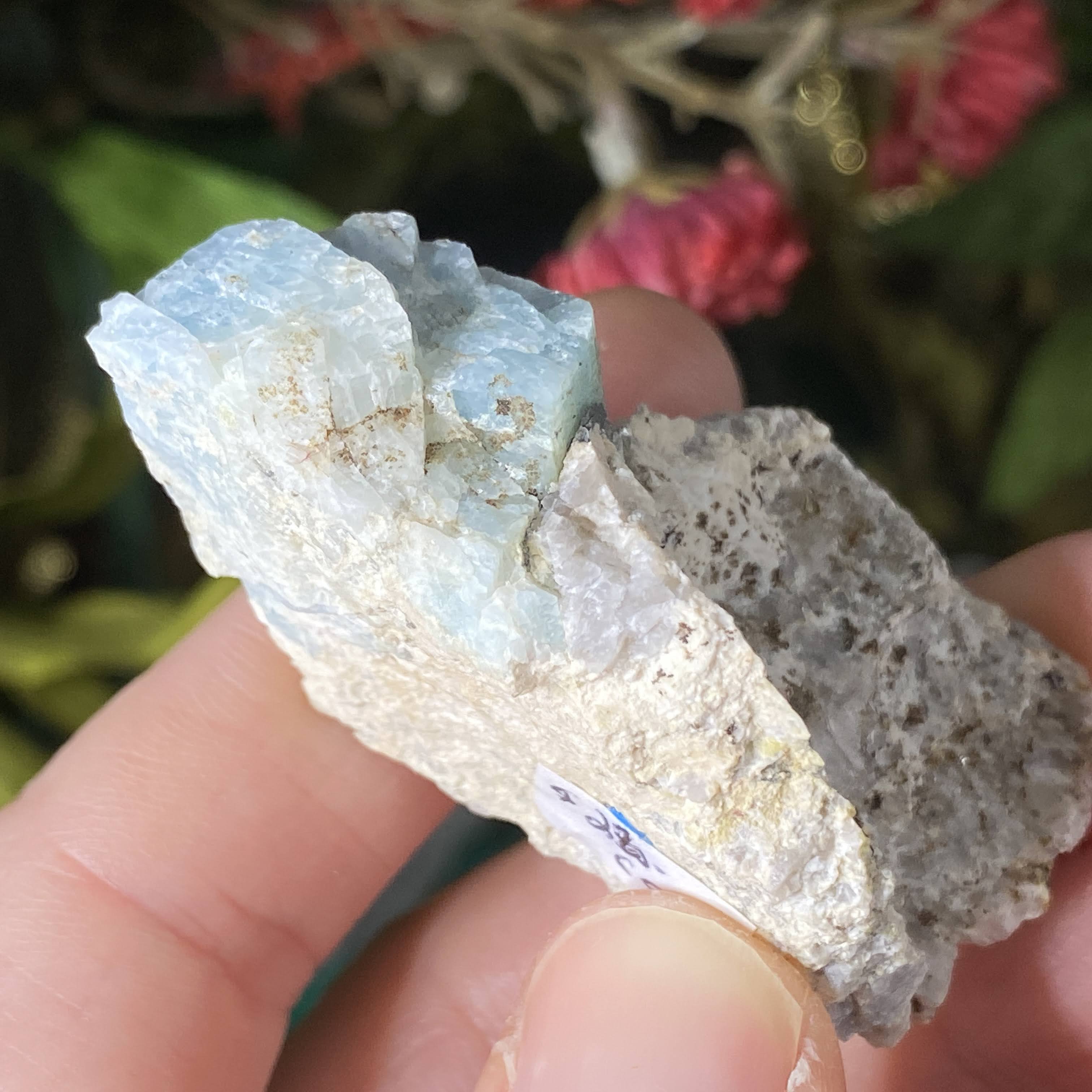 Enchanted Earth Minerals