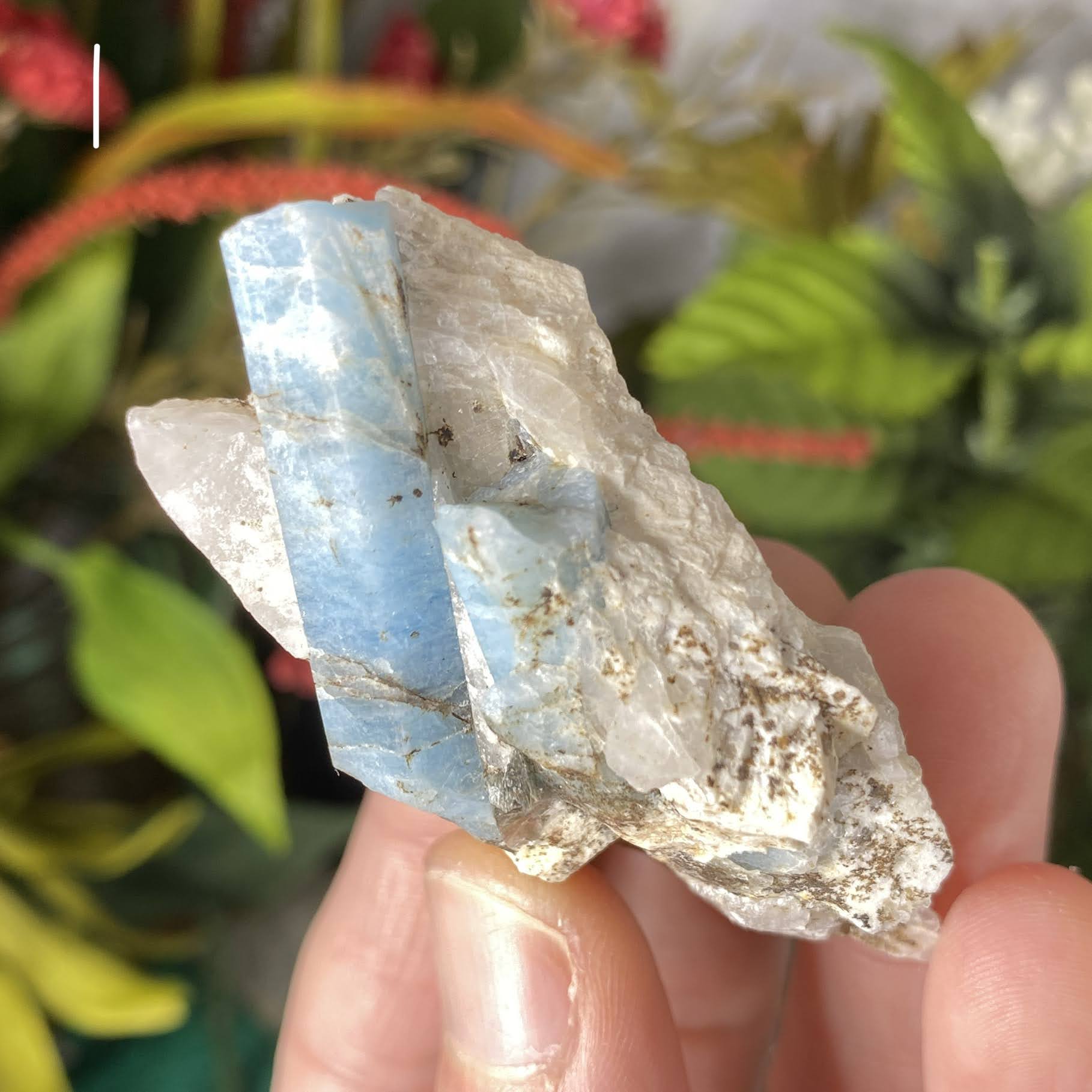 Aquamarine - Aquamarine in Matrix Specimens! (C542/ C543/ C544/ C545)