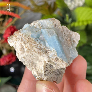Aquamarine - Aquamarine in Matrix Specimens! (C542/ C543/ C544/ C545)