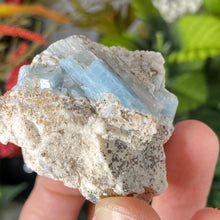 Load image into Gallery viewer, Aquamarine - Aquamarine in Matrix Specimens! (C542/ C543/ C544/ C545)