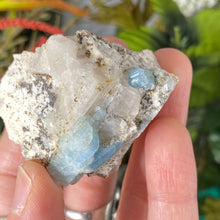 Load image into Gallery viewer, Aquamarine - Aquamarine in Matrix Specimens! (C542/ C543/ C544/ C545)