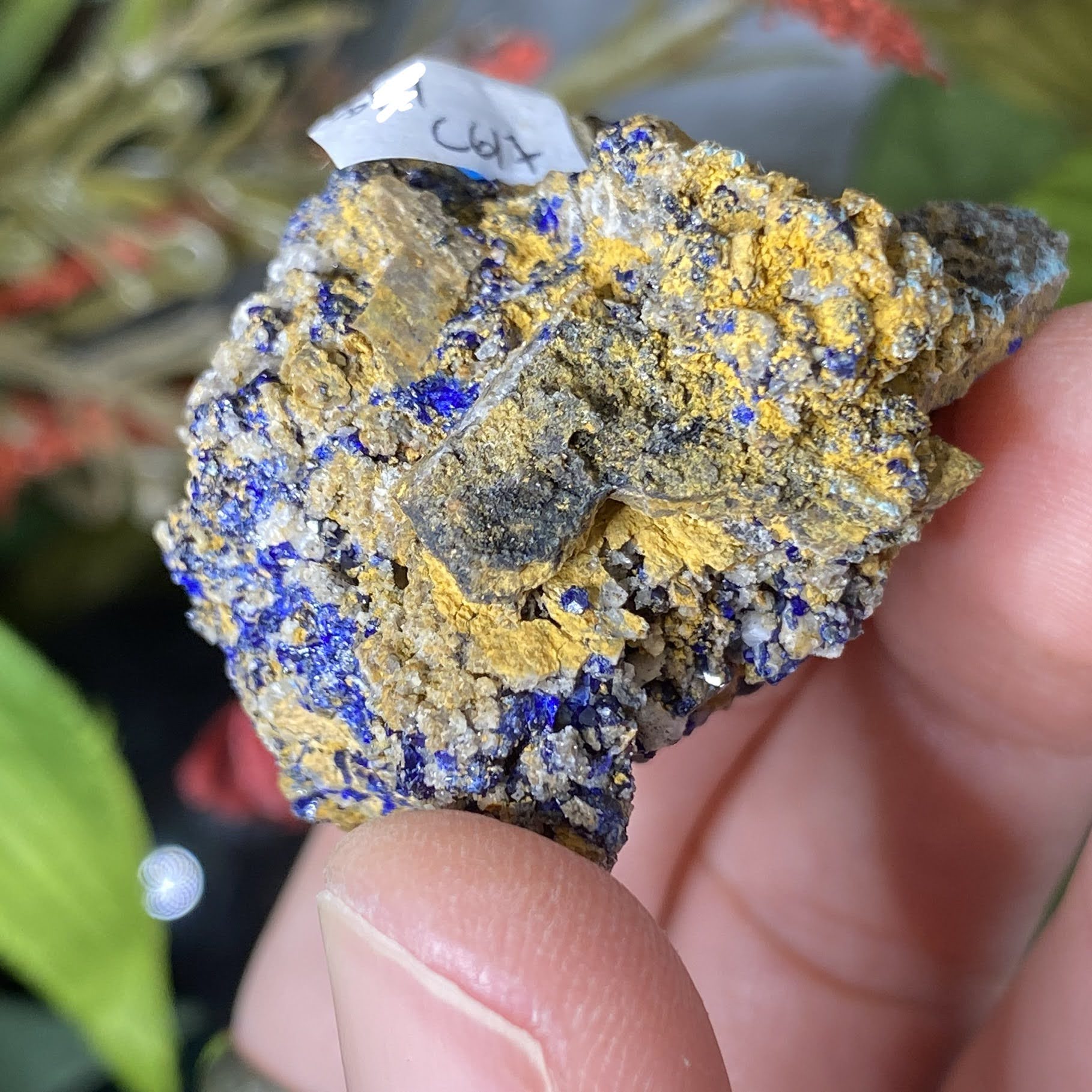 Enchanted Earth Minerals