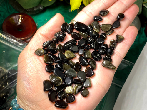 Obsidian - Bulk Gold Sheen Obsidian Tumbled Chips Bags! Choose your amount by weight! (B54 $9.50/B53 $6)