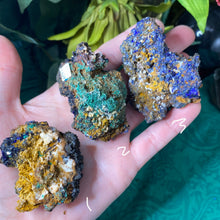 Load image into Gallery viewer, Azurite - Azurite &amp; Azurite Malachite Mineral Specimens from Morocco! (C627/C628/C629)