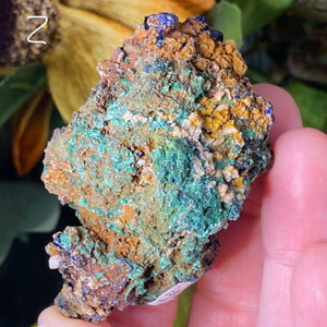 Azurite - Azurite & Azurite Malachite Mineral Specimens from Morocco! (C627/C628/C629)