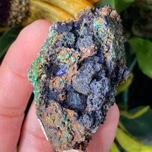Load image into Gallery viewer, Azurite - Azurite &amp; Azurite Malachite Mineral Specimens from Morocco! (C627/C628/C629)