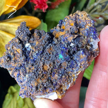 Load image into Gallery viewer, Azurite - Azurite &amp; Azurite Malachite Mineral Specimens from Morocco! (C627/C628/C629)