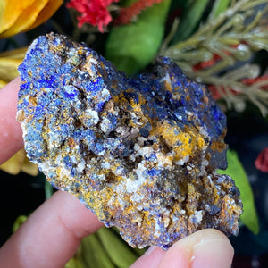 Azurite - Azurite & Azurite Malachite Mineral Specimens from Morocco! (C627/C628/C629)
