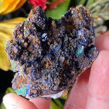 Load image into Gallery viewer, Azurite - Azurite &amp; Azurite Malachite Mineral Specimens from Morocco! (C627/C628/C629)
