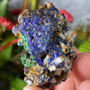 Azurite - Azurite & Malachite Mineral Specimen from Morocco! (C632)