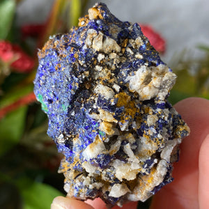 Azurite - Azurite & Malachite Mineral Specimen from Morocco! (C632)
