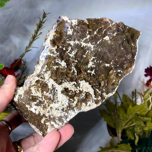 Amethyst - STUNNING Natural "Black" Amethyst Cluster (Black Manganese Amethyst) from Morocco! (B657)