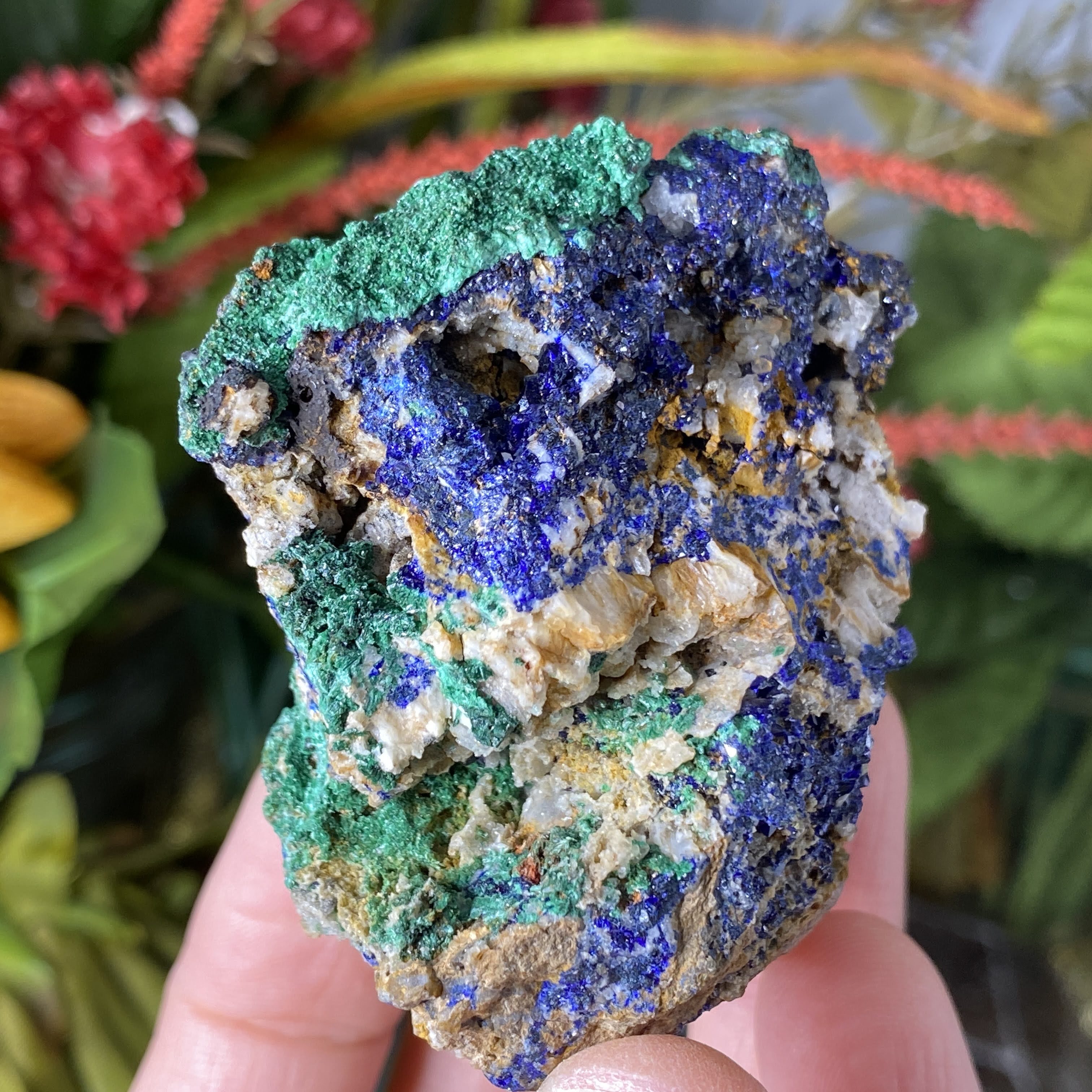 Azurite - Azurite & Malachite Mineral Specimen from Morocco! (C633)