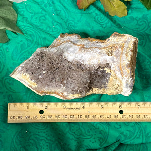 Amethyst - STUNNING Natural "Black" Amethyst Cluster (Black Manganese Amethyst) from Morocco! (B657)